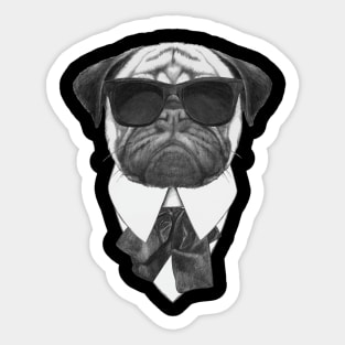 Pug In Black Sticker